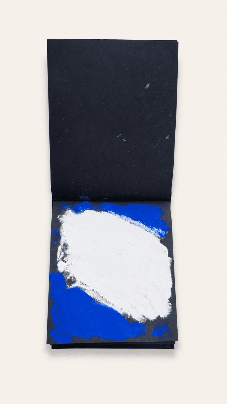 Extrait de carnet peinte, bleu et blanc sur noir
